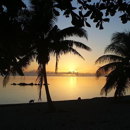 Tahiti - Taharuu Houses Surf & Beach Papara Luaran gambar